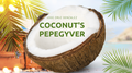 Coconut's Pepegyver by Jose Cruz GonzÃ¡lez video DOWNLOAD