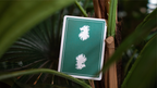 Leon V2 Playing Cards by Murphy's Magic Supplies, Inc.