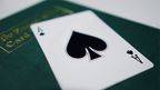 Leon V2 Playing Cards by Murphy's Magic Supplies, Inc.