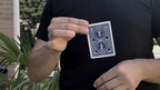 REVERSE MATRIX RED (Gimmicks and Online Instructions) by Chiam Yu Sheng - Trick by Murphy's Magic Supplies, Inc.