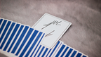 Signature Playing Cards - Second Edition by Jordan Victoria by Murphy's Magic Supplies, Inc.