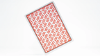 1st V4 Playing Cards (Red) by Chris Ramsay by Murphy's Magic Supplies, Inc.