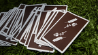 Brown Remedies Playing Cards by Madison x Schneider by Murphy's Magic Supplies, Inc.