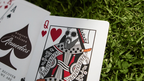 Brown Remedies Playing Cards by Madison x Schneider by Murphy's Magic Supplies, Inc.