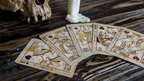 Shakespeare (Antique) Playing Cards by Murphy's Magic Supplies, Inc.