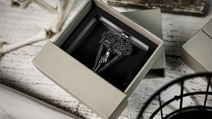 THE FRAME by TCC - Trick by Murphy's Magic Supplies, Inc.