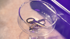BDM Hands Off - The Perfect Chest by Bazar de Magia by Murphy's Magic Supplies, Inc.