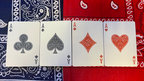 Gilded Bicycle Bandana (Blue) Playing Cards by Murphy's Magic Supplies, Inc.