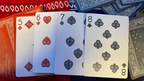 Gilded Bicycle Bandana (Blue) Playing Cards by Murphy's Magic Supplies, Inc.