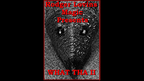 What Tha II by Rodger Lovins by Murphy's Magic Supplies, Inc.
