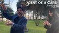 SCENT OF A CARD by Kiko Pastur & Invisible Compass video DOWNLOAD by Murphy's Magic Supplies, Inc.