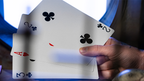Michael Skinner's Ultimate Bicycle Jumbo 3 Card Monte (Blue) by Murphy's Magic - Trick by Murphy's Magic Supplies, Inc.