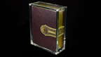 Carat XXL Single Deck Case by Murphy's Magic Supplies, Inc.
