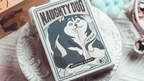 Naughty Dog Playing Cards by 808 Magic and Bacon Playing Card by Murphy's Magic Supplies, Inc.