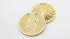 Innocence Coin (Gold) by Murphy's Magic Supplies, Inc.