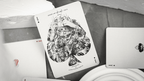 Silent Focus Playing Cards by Murphy's Magic Supplies, Inc.