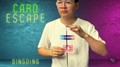 The Vault - Card Escape by Dingding video DOWNLOAD by Murphy's Magic Supplies, Inc.