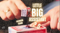 The Vault - Little Big Assistant 2 by Patricio Teran video DOWNLOAD by Murphy's Magic Supplies, Inc.