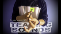 Tearing Sounds by Tybbe Master video DOWNLOAD by Murphy's Magic Supplies, Inc.