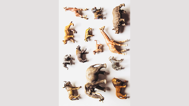 Noah's Ark Prop-less Animal Guess by Fraser Parker - Book by Murphy's Magic Supplies, Inc.