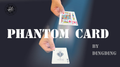The Vault - Phantom Card by Dingding video DOWNLOAD by Murphy's Magic Supplies, Inc.