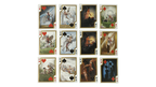 Bicycle Cupid Playing Cards by Murphy's Magic Supplies, Inc.