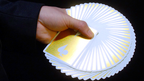 Jaspas Deck 24k Edition Playing Cards by Murphy's Magic Supplies, Inc.