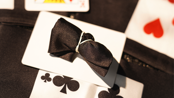 Handkerchief Illusion by TCC by Murphy's Magic Supplies, Inc.