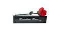 Rainbow Rose by JL Magic by Murphy's Magic Supplies, Inc.