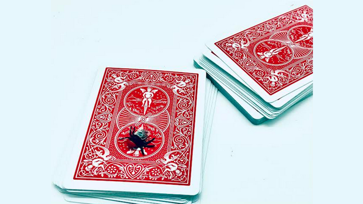 The Fly (Red) by Ronjo Magic by Murphy's Magic Supplies, Inc.