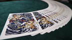 Akita Playing Cards by Blue Moon Co by Murphy's Magic Supplies, Inc.