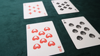 Akita Playing Cards by Blue Moon Co by Murphy's Magic Supplies, Inc.