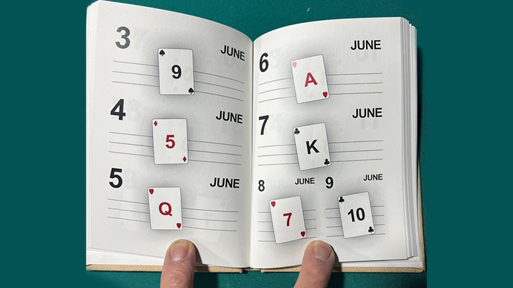 LS Diary by Leo Smetsers by Murphy's Magic Supplies, Inc.