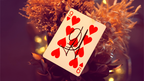 My Power Deck by Jordan Victoria (Red) by Murphy's Magic Supplies, Inc.