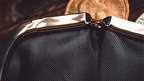 Professional Coin Purse by Amor Magic by Murphy's Magic Supplies, Inc.