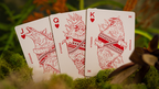 Godzilla x Kong: The New Empire Playing Cards - Kong Special Edition by Murphy's Magic Supplies, Inc.