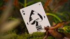 Godzilla x Kong: The New Empire Playing Cards - Kong Special Edition by Murphy's Magic Supplies, Inc.