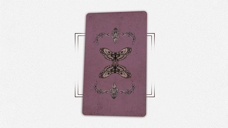 House By The Window (Mini Edition) Tarot Deck by TCC by Murphy's Magic Supplies, Inc.