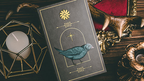 Windmill Flag (Standard Edition) Tarot Deck by Murphy's Magic Supplies, Inc.