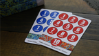 POLLOCK: Euchre Edition Deck by Murphy's Magic Supplies, Inc.