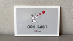 Cupid Rabbit by JT by Murphy's Magic Supplies, Inc.
