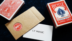 Wormhole Envelope by LT Magic by Murphy's Magic Supplies, Inc.