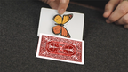 Caterfly (Red) by My Magical Project by Murphy's Magic Supplies, Inc.