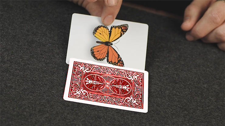 Caterfly (Red) by My Magical Project by Murphy's Magic Supplies, Inc.