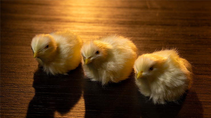 THE FINAL LOAD (Baby Chicks) by Murphy's Magic by Murphy's Magic Supplies, Inc.