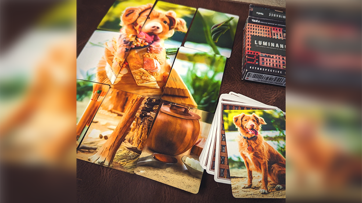 FMPX (Fusion Mosaic Phenomenon) Standard Edition Playing Cards by Murphy's Magic Supplies, Inc.