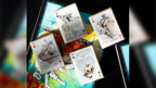 LANCE MOUNTAIN SKATING SKELETONS PLAYING CARDS by Murphy's Magic Supplies, Inc.