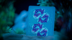 ONDA (Blue) Playing Cards by JOCU by Murphy's Magic Supplies, Inc.