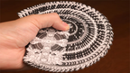 Tree of Vanity Playing Cards by Tony Lee by Murphy's Magic Supplies, Inc.