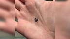Cherries Stamp for Double Cross (for Fragrance by Calix) By Magic Smith X Magic Dream by Murphy's Magic Supplies, Inc.